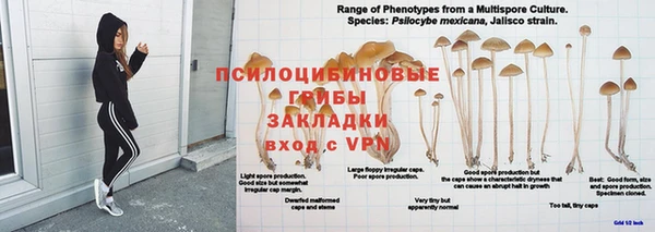 mdma Бородино